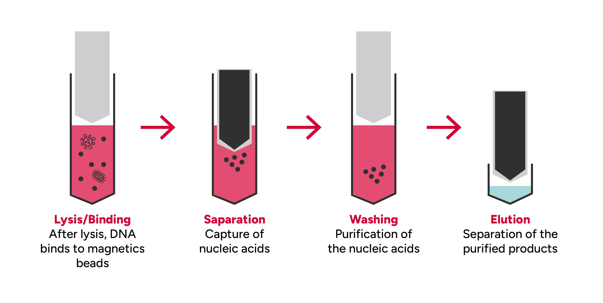 Workflow of Automated DNA Extraction Representation: 4 columns with DNA Preparation