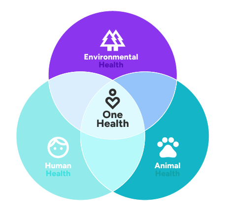 OneHealth (1)