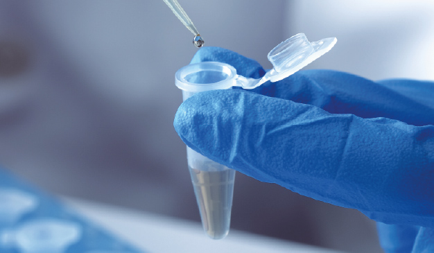 Lab Insights: DNA Fragment Purification in Daily Research