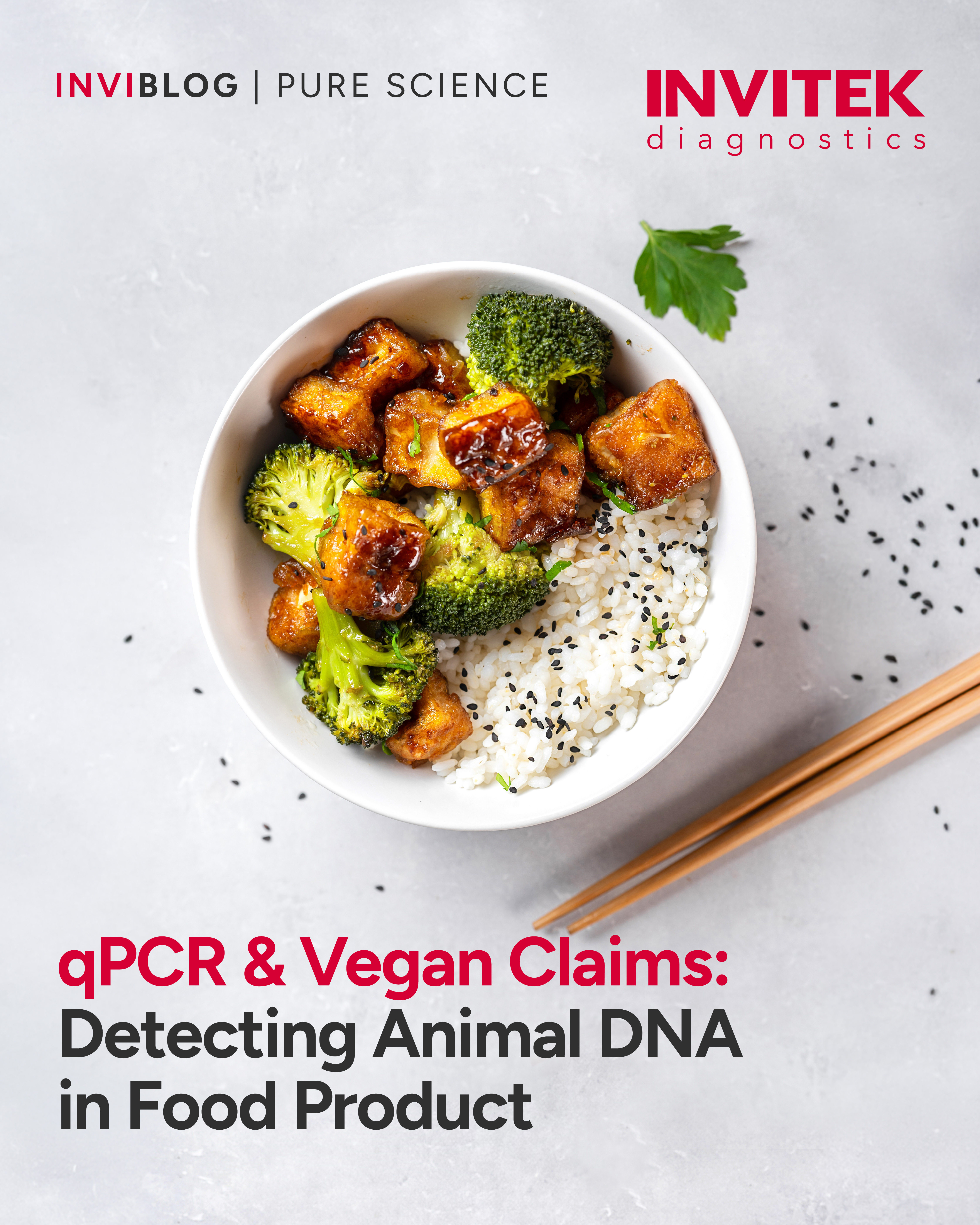 Vegan Food 