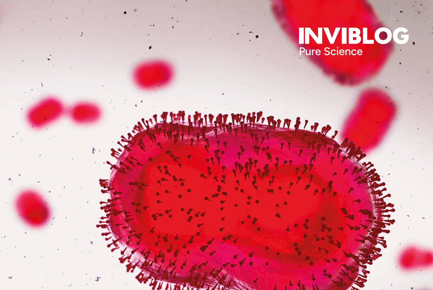 Welcome to InviBlog, An Industry-Experienced Voice in Molecular Diagnostics Applications